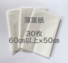 Item thumbnail for item 348977d2-446d-4d0f-8b2e-b3e4256418a2