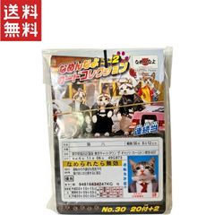 【送料無料】なめ猫 なめんなよ 2 カードコレクション 20枚+2枚セット 昭和レトロ 猫好き必見！