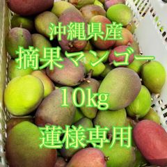 沖縄県産　摘果マンゴー　箱込10kg