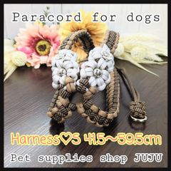 Item thumbnail for item e73956e8-ca63-4450-926b-c9afbc9071ab