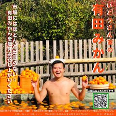 いとうさん家の有田みかん