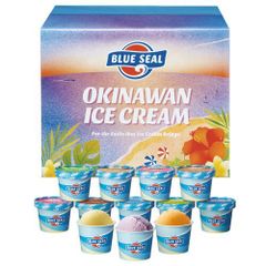 沖縄 ブルーシールアイス 計12個 （冷凍便）