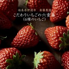 いちご 【斎藤農園】6種 食べ比べ ゆうやけベリー 紅ほっぺ とちおとめ ふくはる香 おいCベリー 真紅の美鈴 (15粒 300g)×2P 母の日 福島県伊達市《5/1～5/10より出荷》