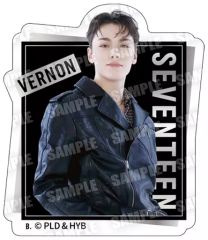 [중고] 식완 스티커·씰 25. [SVT GUMMI2 From PLEDIS ENTERTAINMENT SEVENTEEN]