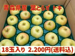 【訳あり】青森県産★葉とらず トキ18玉入★りんご