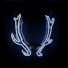 オーダーメイドネオンサイン Feeling アクリルケース ネオン管