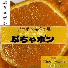 2024年最新】みかん 10kg 熊本みかん 訳ありの人気アイテム - メルカリ