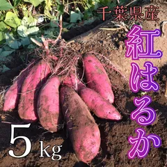 さつまいも 千葉県産紅はるか 5kg 訳ありのサムネイル