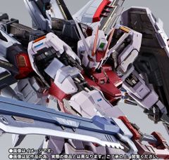 新品未開封 伝票跡無し メタルビルド ストライクルージュ オオトリ