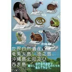 2025年最新】ヤンバルクイナ フィギュアの人気アイテム - メルカリ