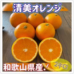 清見オレンジ 2キロ オレンジ B級品
