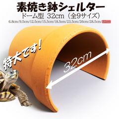 【素焼き鉢シェルタードーム型32cm】爬虫類　両生類　 熱帯魚　トカゲ　カメ　カエル　アクアリウム　テラコッタ　植木鉢　安い　リクガメ　保湿