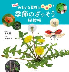 【中古】 結婚代理人/ハーパーコリンズ・ジャパン/イザベル・ディックス 結婚代理人/ハ-パ-コリンズ・ジャパン/イザベル・ディックス