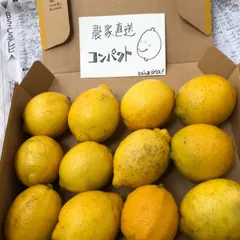 2024年最新】広島県産 無農薬 レモンの人気アイテム - メルカリ