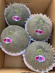 入荷しました！幻のメロン ナイルメロン 2Lサイズ 5玉 送料込み - メルカリ