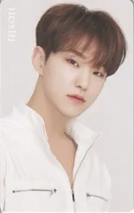 SEVENTEEN 2019 ODE to You IN JAPAN HOSHI トレーディングカード