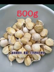 青森県産にんにくバラ500g[栽培期間中、農薬、化学肥料不使用]のサムネイル