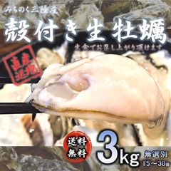 生食OK！三陸産 生殻牡蠣3kg 宮城 石巻