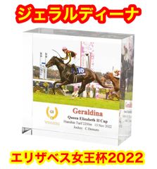 希少】新品 アバンティS 第64回 有馬記念リスグラシュー ウマ娘 宅急便