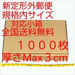 定形外郵便用小型ダンボール：厚さMAX3cm定形外郵便規格内サイズ