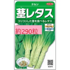 茎レタス 中国紅莴笋 種 1000粒 中国野菜種 香莴笋 茎レタス 山クラゲ 種 80粒＋20粒(おまけ