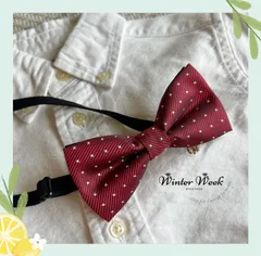 kdc1g キッズ 蝶ネクタイ ネクタイ 入学式 卒園式 フォーマル 結婚式 発表会 演奏会 スーツ 披露宴 パーティー ハロウイン クリスマス 七五三 ベビー ジュニア 子供用 ゴムひも簡単 装着 男の子 柄 無地