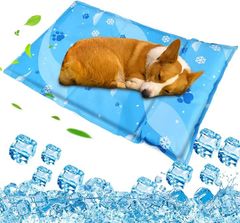 Item thumbnail for item a87266df-a210-4c0e-a590-22460bb2ab7b