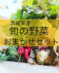 タムラさんちの新鮮野菜☆野菜詰め合わせ☆コンパクト常温便