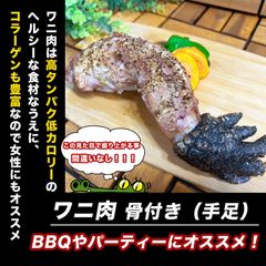 ワニ肉 bbq 食用 爪付き 1本 焼肉 BBQ 骨つき足 【455~555g】クロコダイル