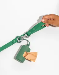 新品未使用　Wild One　Dog Leash　リード　グリーン　犬　小型犬　中型犬　海外直輸入　ペットグッズのサムネイル