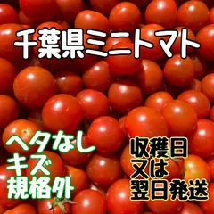 【予約販売品】 2025年最新】規格外トマトの人気アイテム - メルカリ 野菜