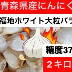 青森県産にんにく　福地ホワイト大粒バラ2キロ