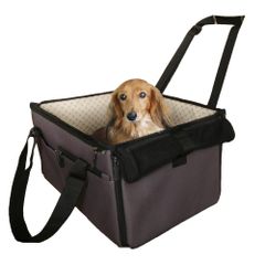 Item thumbnail for item c5aa1afe-d813-4f24-86d2-fa8a08d838ea