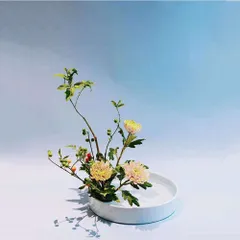 Ovject 日本製 花瓶 花器 フラワーベース 生け花 水盤 ホーロー アイア