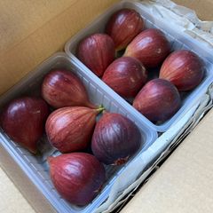 【秀品】いちじく　2パック