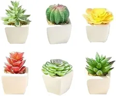 MedianField ミニ 3個セットx2 多肉植物 寄せ植え フェイクグリーン リアル 造花 置物 人工観葉植物 インテリア 植木鉢 おしゃれ 雑貨 陶器 白 緑 ギフト ミニサボテン 6個( ミニサボテン 6個)