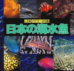 2024年最新】山渓 日本の海水魚の人気アイテム - メルカリ