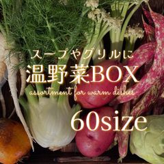 スープやグリルに 温野菜BOX  60サイズ 野菜セット 野菜詰め合わせ