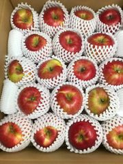 青森県産りんご 「シナノスイート」家庭用 キズ有 約5kg【人気】