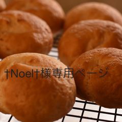 †Noel†様専用ページ