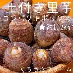 2025年最新】里芋 土垂の人気アイテム - メルカリ