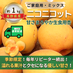 ニコニコット～甘さまろやか生食用杏～【内容量】約1kg【配送方法】通常配送【サイズ】当店お任せ【品目】杏（あんず）【品種】当店お任せ【産地】長野県【規格】ご家庭用A品B品混合【詰め方】バラ詰め【配送までの日数】1～4日
