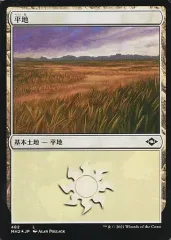 【中古】マジックザギャザリング 482[L]：【MH2】【FOIL】平地/Plains