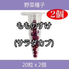 野菜種子 EAU もものすけ(サラダカブ) 20粒 x 2個