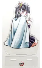 鬼滅の刃 柱描き下ろし webshop くじ 栗花落カナヲ 缶バッジ まとめ売り 鬼滅の刃柱描き下ろしイラストWEBSHOPくじE賞 缶バッジ 栗花落