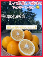 【おまけ付き】レモン マイヤーレモン 2.4キロ 家庭用