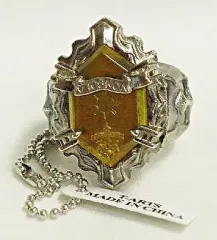 【中古】キーホルダー・マスコット(キャラクター) 晴のニューボンゴレリング 「家庭教師ヒットマンREBORN! ニューボンゴレリングコレクション」