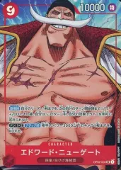 2025年最新】エドワード・ニューゲート sr パラレルの人気