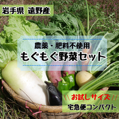 \\農家直送 野菜の味が濃い//旬 お試し野菜セット 野菜詰め合わせ《自然農法 農薬・肥料不使用》