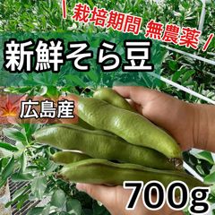 無農薬　新鮮そら豆　700g 広島産　野菜セット